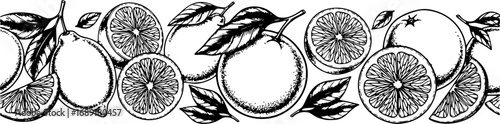 Seamless Citrus Fruit Border Design with Hand-Drawn Vector Illustrations, Healthy Food Sketches and Engraved Summer Background Pattern