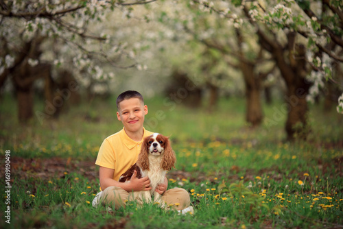 Smiling boy in yellow shirt with cute cavalier king charles spaniel dog in blooming spring orchard, child and pet outdoors in nature, friendship and happiness
