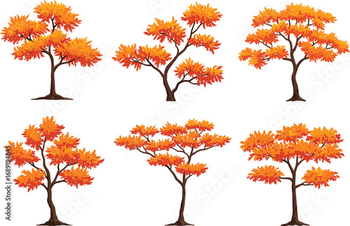 Set of six autumn trees with orange foliage, seasonal botanical vector illustration for nature, landscape, garden, and fall design themes