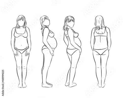 Pregnant woman with front, side, semi-back and back contours, simple lines. Transparent background.