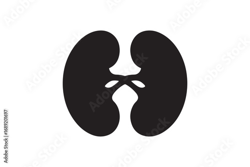 Kidney silhouette vector design Human kidney organ silhouette art