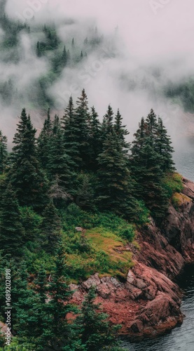 A vertical shot showing a rugged cliff edge covered in evergreens, overlooking water, with low clouds obscuring the trees in the distance