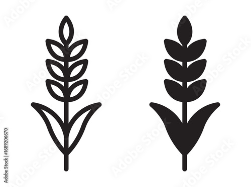 Farm wheat ears icon set. vector illustration