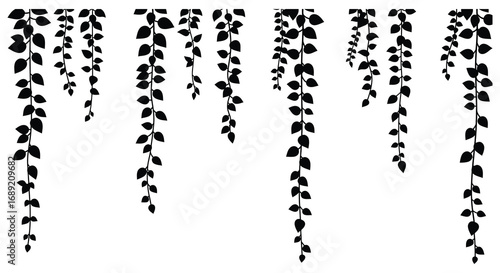 delicate vines hanging gracefully with small leaves intertwined
