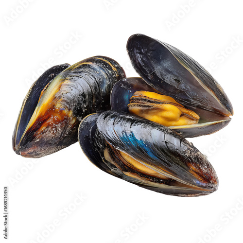 raw mussels seafood close-up on clean white surface
