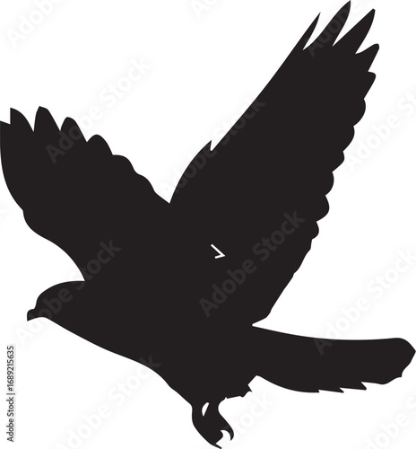 Silhouette of a raptor in flight with spread wings and fanned tail feathers

