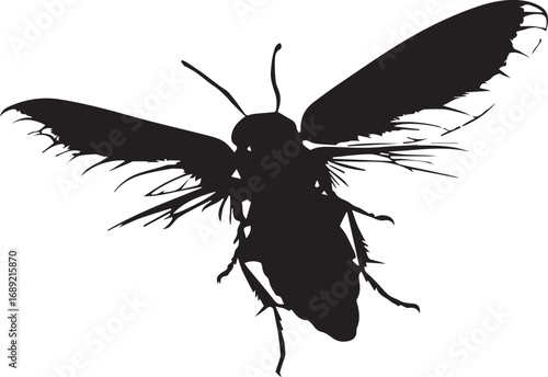 Silhouette of a flying insect with extended wings and visible antennae
