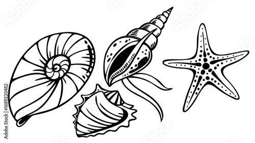 vector illustration of a black and white fish