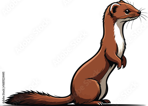 Cute cartoon a illustrator vector weasel