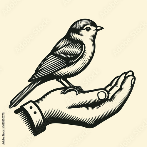 Illustration of bird in hand