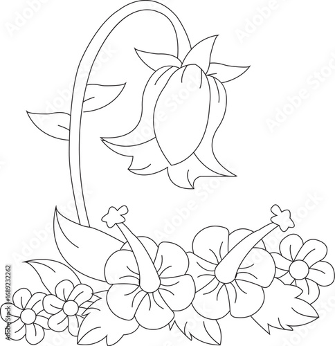 Elegant flowers coloring page for relaxation and artistic expression white background