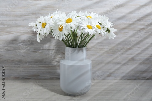 Wallpaper Mural Beautiful chamomile flowers in vase on grey wooden table, closeup Torontodigital.ca