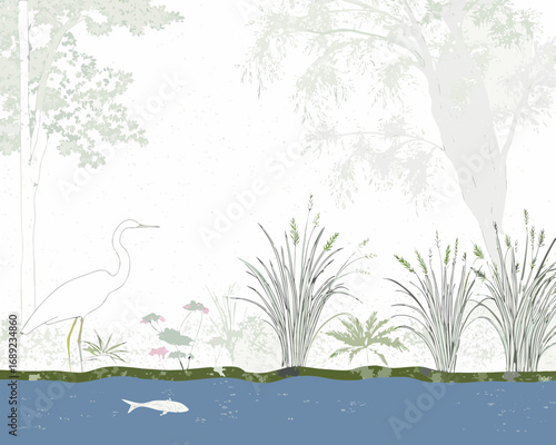 White egret bird standing by a pond with reeds and fish