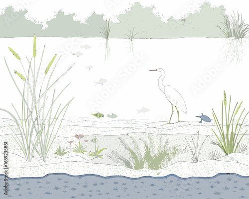 Illustration of a wetland ecosystem with a heron fish and aquatic plants