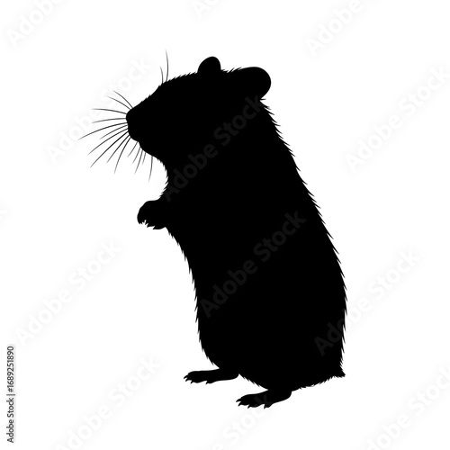 Black hamster silhouette standing on hind legs isolated on white background