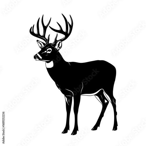 Majestic buck deer silhouette isolated on white background