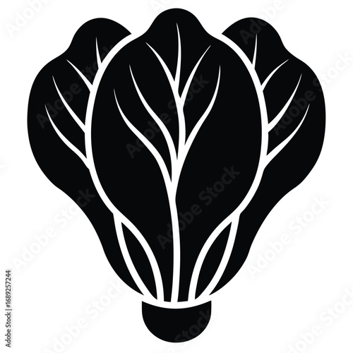 bok choy vector icon