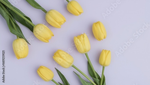 Elegant arrangement of bright yellow tulip flowers with green stems on a soft, light purple backdrop.