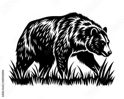 A cute hand-drawn shaggy brown bear vector illustration, a wild animal silhouette sketch isolated on white
