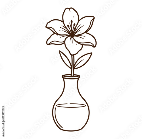 Elegant hand drawn illustration of a lily flower in a classic vase for various designs