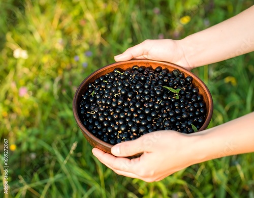 Hands holding a bowl of black berries in a field