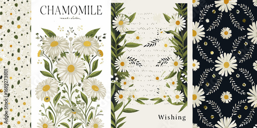 Collection of chamomile flower designs with botanical elements and text for greeting cards and textiles