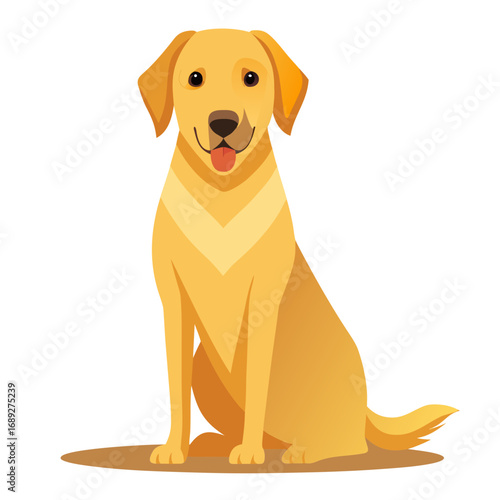 vector illustration of labrador retriever, sitting, flat design