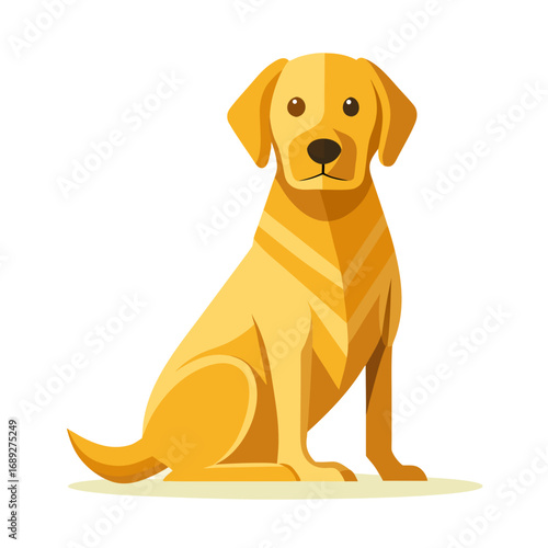 vector illustration of labrador retriever, sitting, abstract