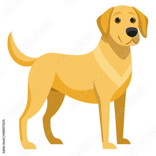 vector illustration of labrador retriever, fetching, flat design