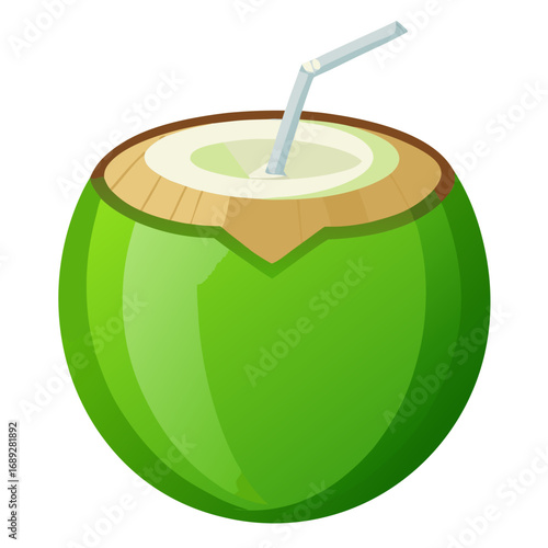 illustration of a coconut