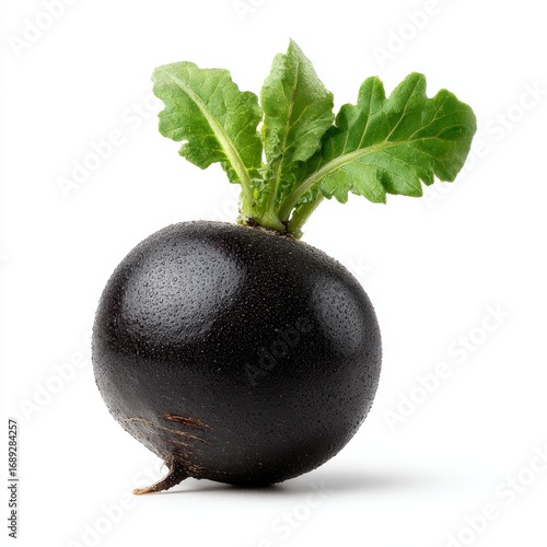 A fresh black radish with vibrant green leaves