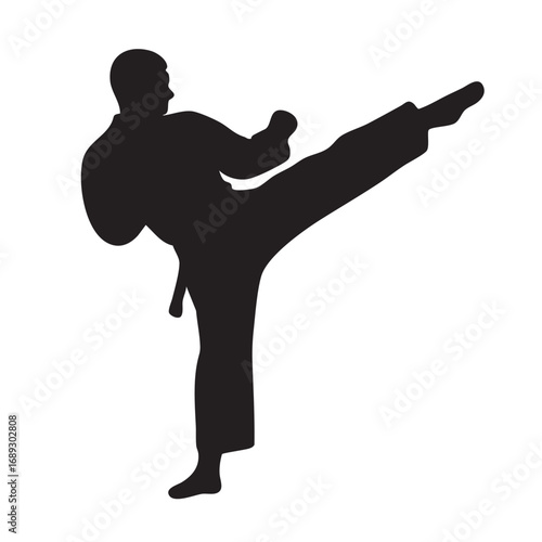 dynamic taekwondo martial arts sport training
