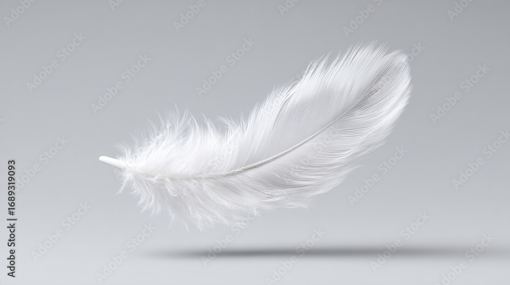 Obraz premium White feather floating symbolizing freedom and creativity
