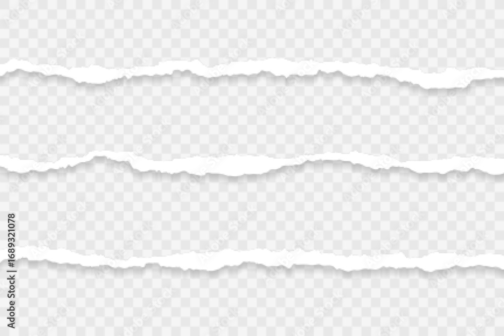 Obraz premium Torn and ripped paper textures create a blank banner with an empty space and old, grunge edges