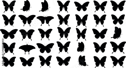 Vector silhouette butterfly collection diverse wing shapes isolated graphic elements for design