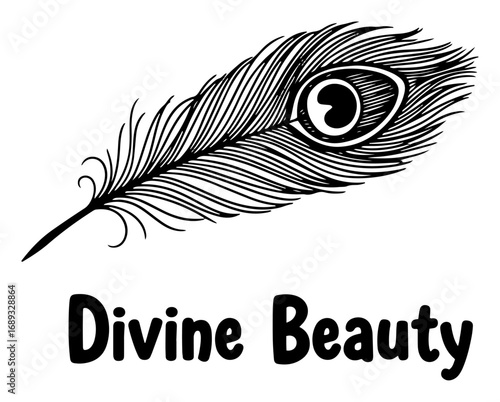 Divine Beauty quote with a peacock feather monochrome vector illustration
