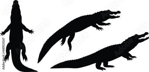 Black silhouette crocodiles in various poses including top view and side view isolated on white background, reptile vector illustration for wildlife design