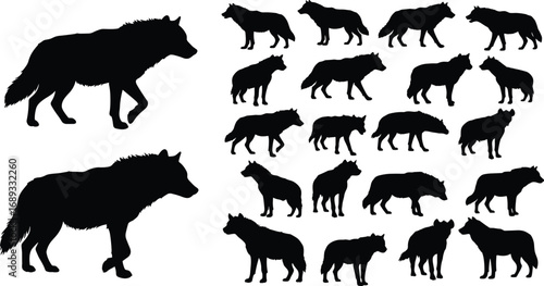 Wolf silhouette vector set showing various walking poses and stances, ideal for wildlife design, animal anatomy, and predator illustration