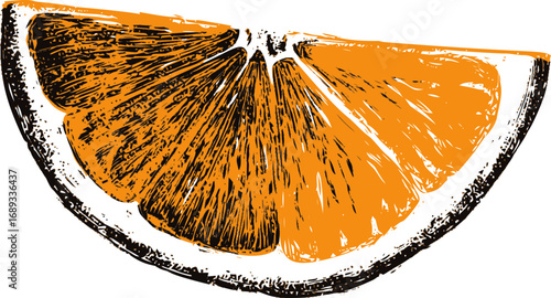 Illustration of an orange slice with textured details in monochrome style. Vector illustration