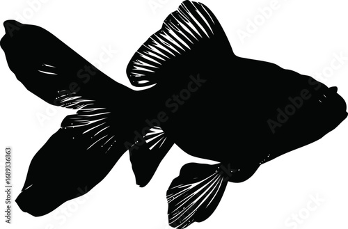 Silhouette of a goldfish with detailed fins. Vector illustration