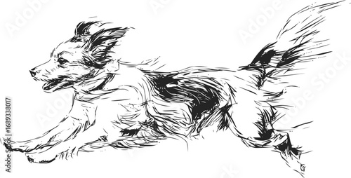 Black and white sketch of a running dog with expressive motion lines. Vector illustration