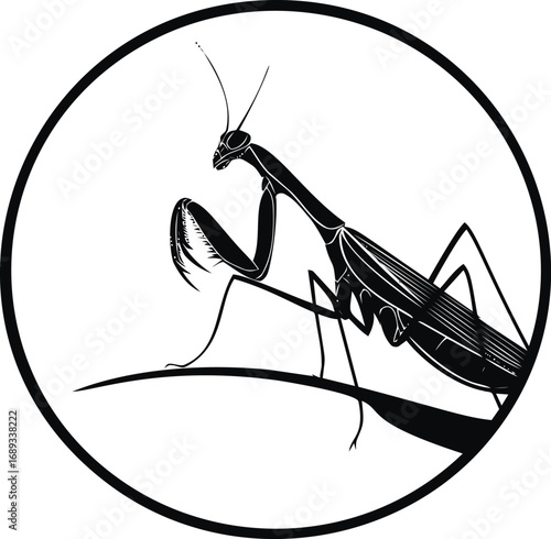 Praying mantis silhouette in black and white within circular frame, insect illustration. Vector illustration