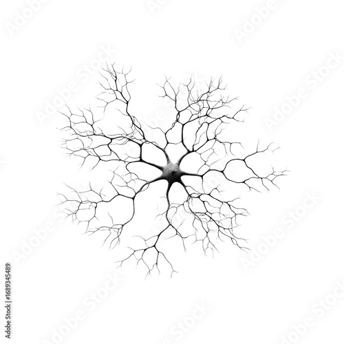 Microscopic View of a Neuron Cell, Intricate Neural Network, Brain Cell Structure