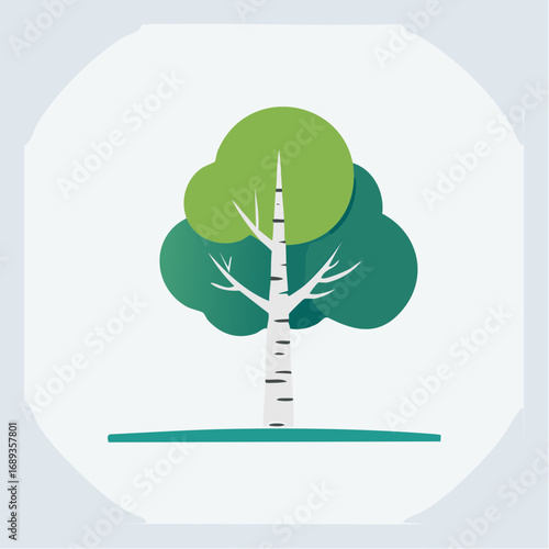 Bel arbre vert au tronc blanc gris, isolé, stylisé, arrière plan clair uni