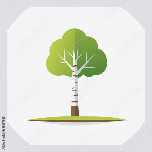 Bel arbre vert au tronc blanc gris, isolé, stylisé, arrière plan clair uni