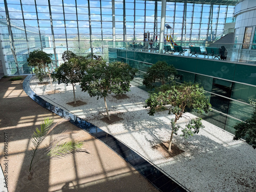 Courtyard with trees and gravel ground inside a modern glass terminal. Ecology, architecture, and balance of natural greenery with structural airport environment.