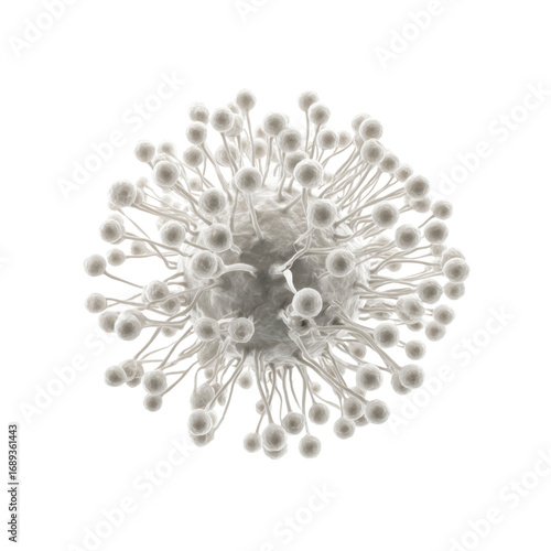 Microscopic View of Aspergillus Fungus Spores - 3D Render