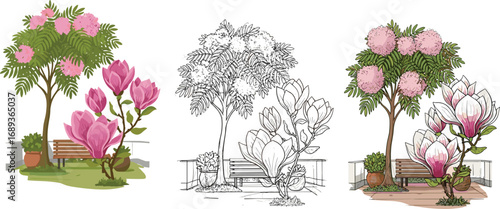 "Park bench with blooming magnolia flowers in spring garden, black and white sketch, partial color illustration, seasonal nature vector art"