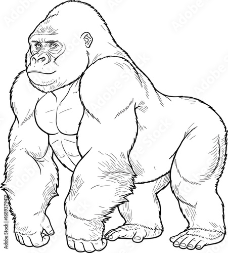 Realistic gorilla illustration, black and white sketch, powerful primate drawing, detailed fur texture, expressive face, wild animal, jungle wildlife art