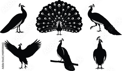 Collection of peacock silhouettes, displaying their majestic plumage and elegant poses, ideal for decorative projects